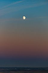 Twilight Moon