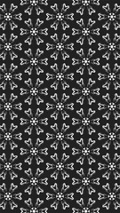 Black and white ornate geometric pattern and abstract background