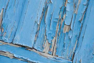 closeup of blue peeling paint on ancient wooden shutters