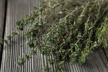 thyme - aromatic plant of the mint family are used as a culinary herb