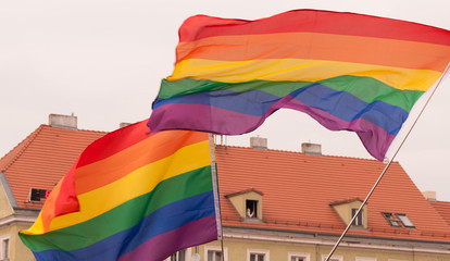 Waving LGBT Flag