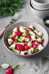 Radish, cucumber, kiwi, cheese and dill salad in a bowl on gray grunge concrete background. Seasonal Cooking, food styling.