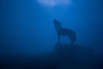 Silhouette of howling wolf against dark toned foggy background. Halloween horror concept.
