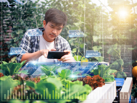 young smart Asia Farmer using Ar,Vr,3d projection glass Technology at his smart farm.