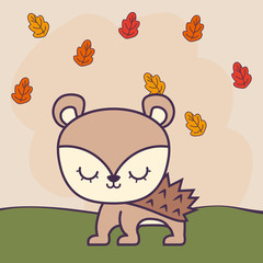 cute porcupine in grass with leafs