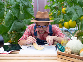 Scientist or microbiologist test and develop oganic bio product from melon.