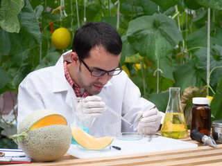 Scientist or microbiologist test and develop oganic bio product from melon.