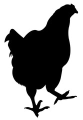 a chicken body silhouette vector