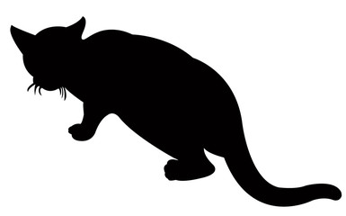 a cat body silhouette vector