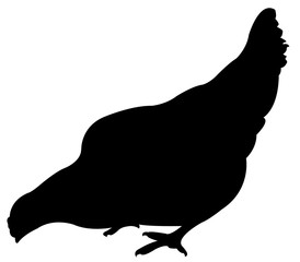 a chicken body silhouette vector