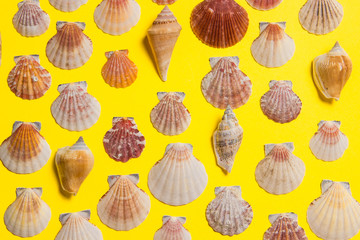 Yellow bright background with nautical decor