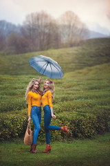 Two happy twin girls in yellow under an umbrella walk on tea plantations. Young women blonde twins...