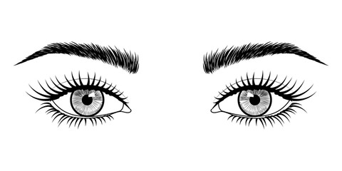 Vector black and white hand-drawn image of eyes with eyebrows and long eyelashes. Fashion illustration. EPS 10.
