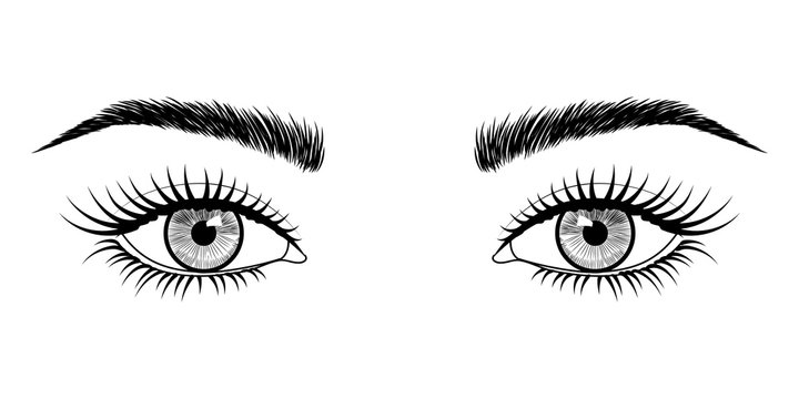 Vector black and white hand-drawn image of eyes with eyebrows and long eyelashes. Fashion illustration. EPS 10.