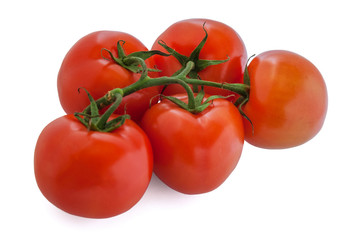 fresh organic soil tomatoes on branch isolated on white close up