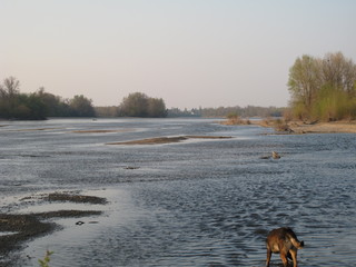 fleuve loire