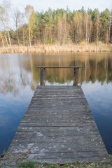 jezioro w lesie © Piotr Szpakowski