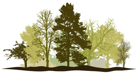 Trees forest springtime silhouette vector