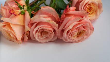 Beautiful bouquet of roses, close up, selected focus