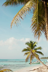 tropical nature, the Caribbean Sea, palm trees, the island, the Dominican Republic, boats.