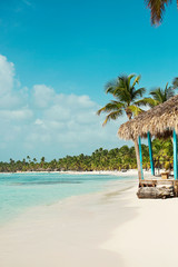 tropical nature, the Caribbean Sea, palm trees, the island, the Dominican Republic, boats.
