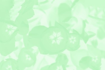 Green mint color background with delicate floral pattern