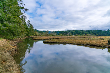 Fototapeta premium Beautiful Tidelands Puget Sound