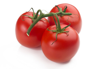 closeup of three tomatoes with their branch