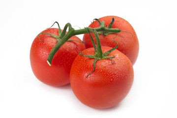 closeup of three tomatoes with their branch