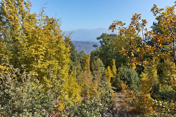 Amazing Autumn landscape of Ruen Mountain - northern part of Vlahina Mountain, Kyustendil Region, Bulgaria