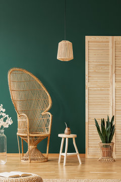 Lamp above table and rattan chair in green apartment interior with flowers and screen. Real photo