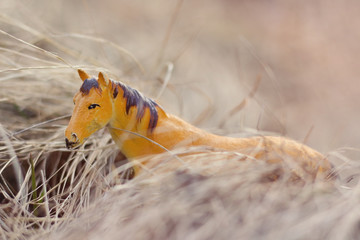 Obraz premium toy horse in nature photographed as real among the dry grass like haystacks