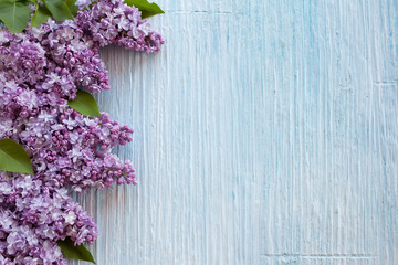 Purple lilac on a blue background