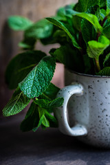 Organic mint leaves © Anna Bogush