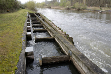fischtreppe an der aller