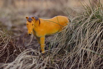 toy horse in nature photographed as real among the dry grass like haystacks