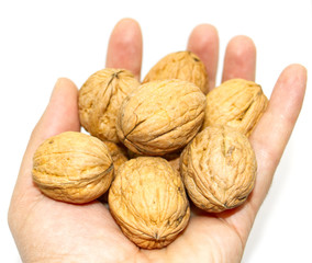 walnuts on hand