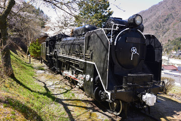 Obraz premium SL Park Nagiso Town