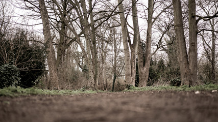 Path through London Park