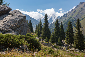 Reliefs of the mountains of Kazakhstan and coniferous trees on a warm day