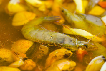 shells and shrimp in wine
