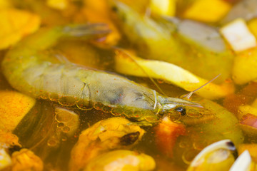 shells and shrimp in wine