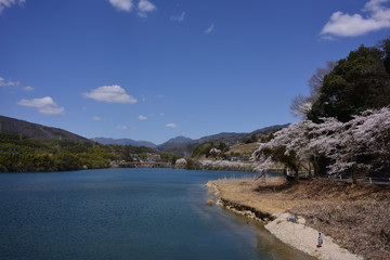 Fototapeta na wymiar 落合ダム湖