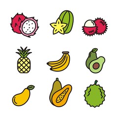 Set of tropical fruit vector illustration. Tropical fruit icons 