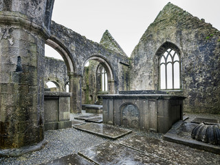 Ross Abbey Arches