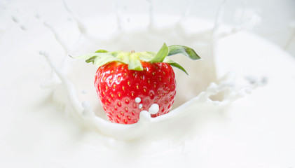 1 strawberry drops into milk
