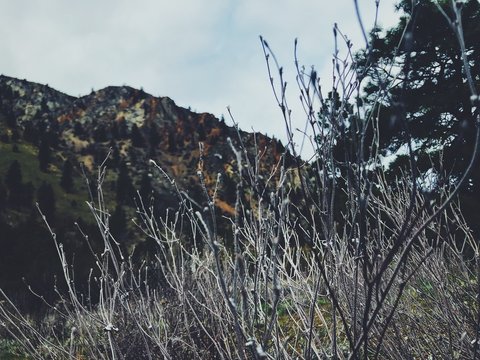 Processed with VSCO with f2 preset