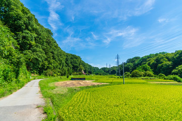 暑かった夏の終わり