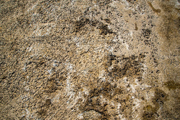 Concrete background