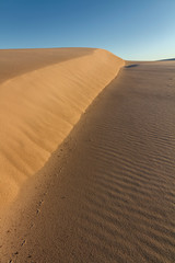 Morning at Dark Point Sand Dunes, Myall Lakes National Park, Hawks Nest, NSW, Australia